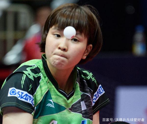 青鸟归巢 青鸟归巢